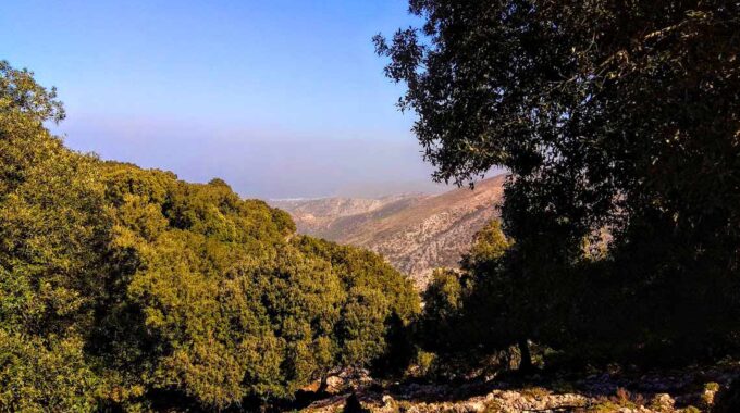 Atzilakodasos From Vrachasi Village