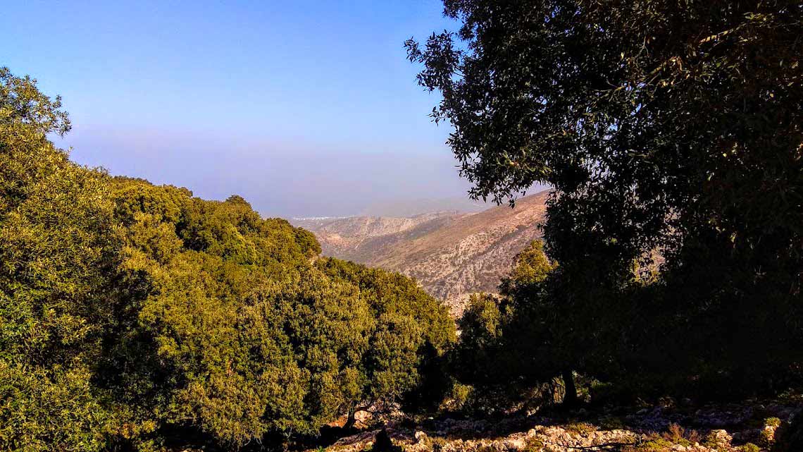 Atzilakodasos from Vrachasi Village